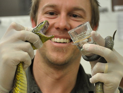 Australian Reptile Park - New Castle Tourism 9