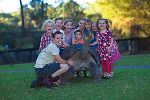 Australian Reptile Park - New Castle Tourism 11