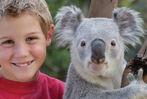Featherdale Wildlife Park - Newcastle Accommodation 1