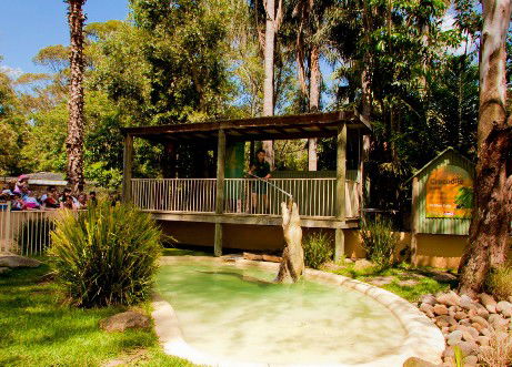 Featherdale Wildlife Park - Newcastle Accommodation 2