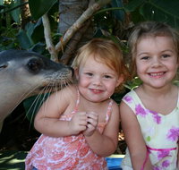 Dolphin Marine Magic - Newcastle Accommodation