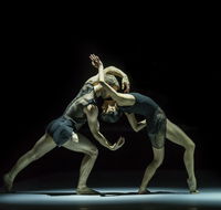 Sydney Dance Company - New Castle Tourism