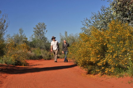 Alice Springs Desert Park - Newcastle Accommodation 3