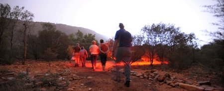 Alice Springs Desert Park - Newcastle Accommodation 4