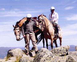 High Country Horses - New Castle Tourism 3