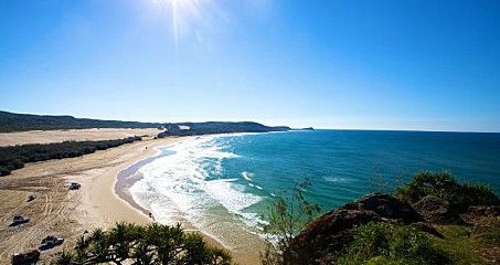 Queensland Day Tours - Newcastle Accommodation 11