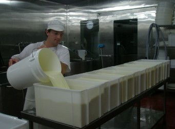 Witches Chase Cheese Co - New Castle Tourism 1