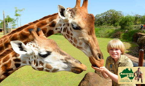Australia Zoo - New Castle Tourism 4