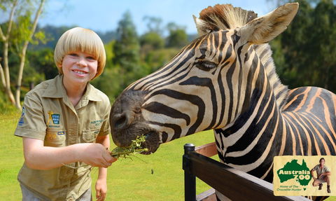 Australia Zoo - New Castle Tourism 5