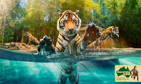 Australia Zoo - New Castle Tourism 9