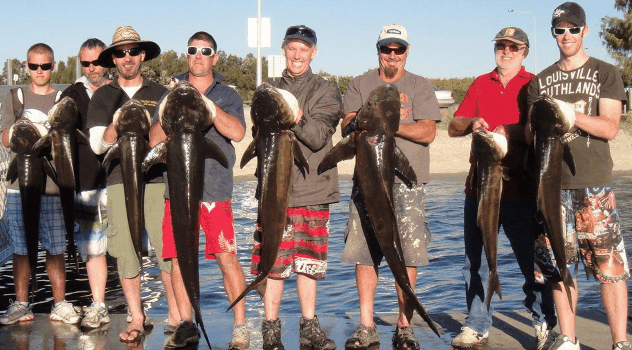 BKs Gold Coast Fishing Charters - New Castle Tourism 1