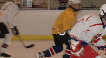 Hunter Ice Stadium - New Castle Tourism 2