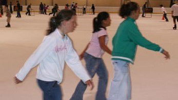 Hunter Ice Stadium - New Castle Tourism 4