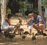 Billabong Sanctuary - Newcastle Accommodation