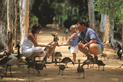 Billabong Sanctuary - Newcastle Accommodation 0