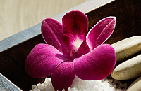 Blush Beauty Saloons - Newcastle Accommodation 4