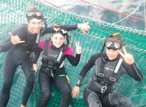 Dolphin Swim Australia - New Castle Tourism 7