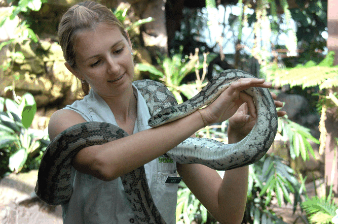 Cairns Wildlife Dome - Newcastle Accommodation 2