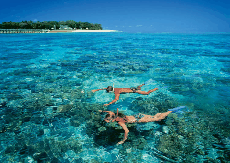 Big Cat Green Island Reef Cruises - thumb 4