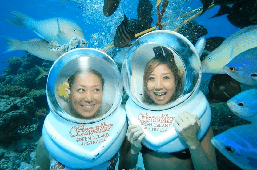 Big Cat Green Island Reef Cruises - Newcastle Accommodation 5