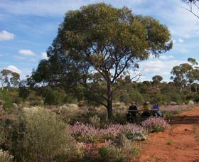Karlkurla Bushland Park - Newcastle Accommodation 0