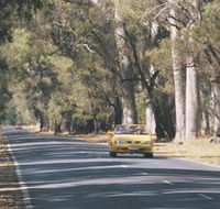 Ludlow Tuart Forest