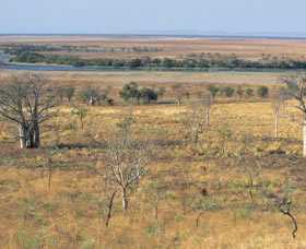 Marglu Billabong - Newcastle Accommodation 0