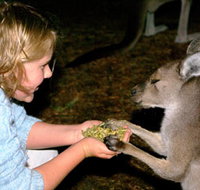 Discovery Bay's Walk on the Wild Side - New Castle Tourism