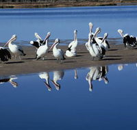 Peel Region Canoe Trails - Newcastle Accommodation