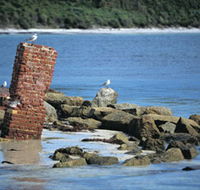 Whalers Beach - New Castle Tourism