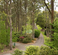 Mount Lofty Botanic Garden