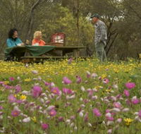 Gwambygine Park - New Castle Tourism