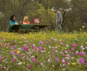Gwambygine Park - New Castle Tourism 0