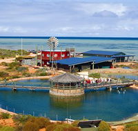 Ocean Park Aquarium - New Castle Tourism