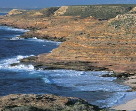 Eagle Gorge - Newcastle Accommodation 0