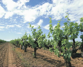 Alexandra Bridge WA Newcastle Accommodation