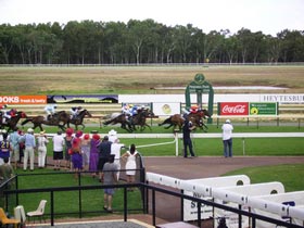 Pinjarra Race Club - New Castle Tourism 0