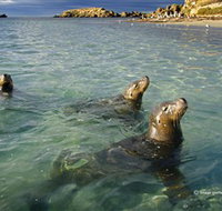 Shoalwater Islands Marine Park - New Castle Tourism