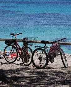 Parker Point Marine Snorkel Trail - Newcastle Accommodation 0
