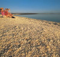 Shell Beach - New Castle Tourism