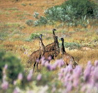 Jurabi Coastal Reserve - Newcastle Accommodation