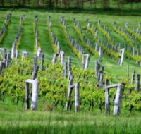 Sienna Estate Winery - New Castle Tourism