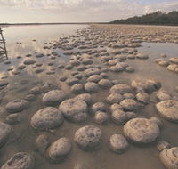 Yalgorup National Park - Newcastle Accommodation