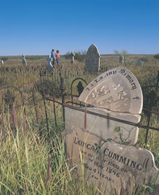 Yannarie WA Newcastle Accommodation