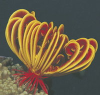 Lighthouse Bay - Newcastle Accommodation