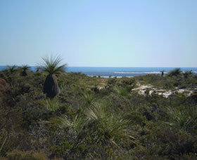 Lesueur National Park - Newcastle Accommodation 0