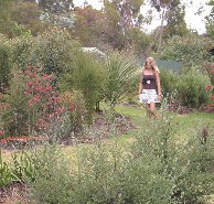 The Mythic Mazes - Newcastle Accommodation