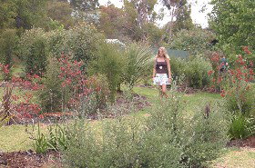 The Mythic Mazes - Newcastle Accommodation 0