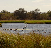 Anytime Adventures in Mandurah  the Peel Region - Newcastle Accommodation
