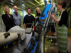 Eyre Peninsula's Seafood Trail - Newcastle Accommodation 0